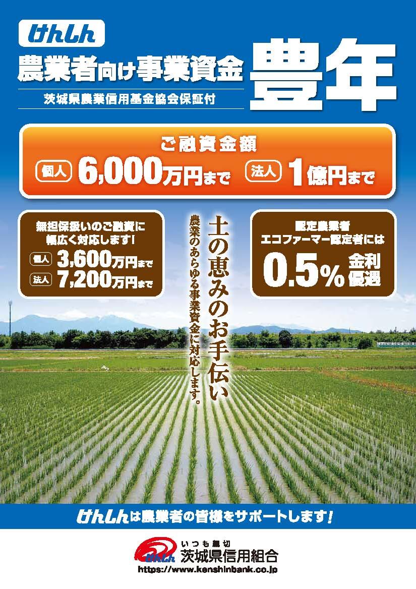 豊年チラシ202409